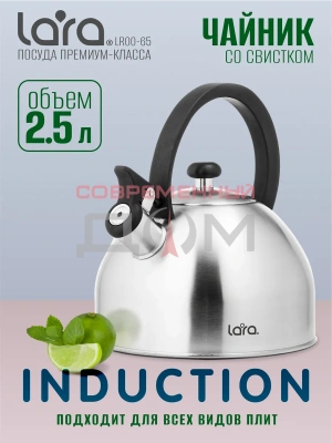 Чайник LARA LR00-65 (матовый) 2,5л, индукционное капсул. дно, нейлоновая ручка