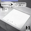Поверхность индукц. Zigmund&Shtain CI 25.6 W 